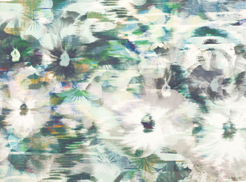 Kansai  Peacock W906-02